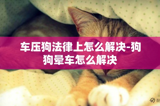 車壓狗法律上怎么解決-狗狗暈車怎么解決