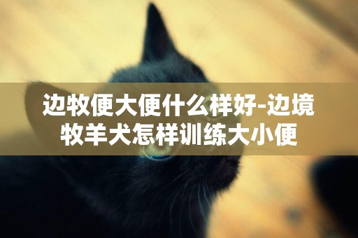 邊牧便大便什么樣好-邊境牧羊犬怎樣訓練大小便
