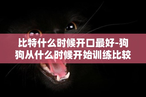 比特什么時候開口最好-狗狗從什么時候開始訓練比較好