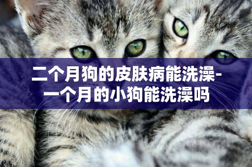 二個月狗的皮膚病能洗澡-一個月的小狗能洗澡嗎