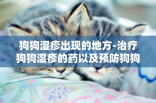 狗狗濕疹出現的地方-治療狗狗濕疹的藥以及預防狗狗濕疹的辦法