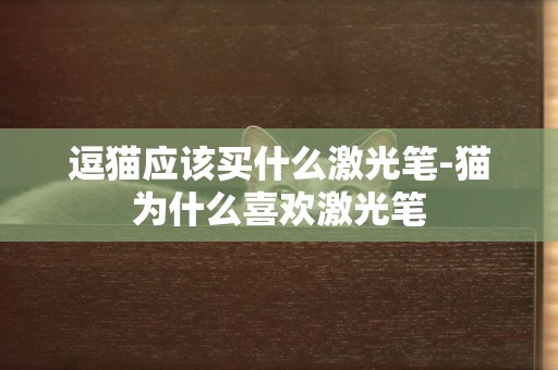逗貓應該買什么激光筆-貓為什么喜歡激光筆