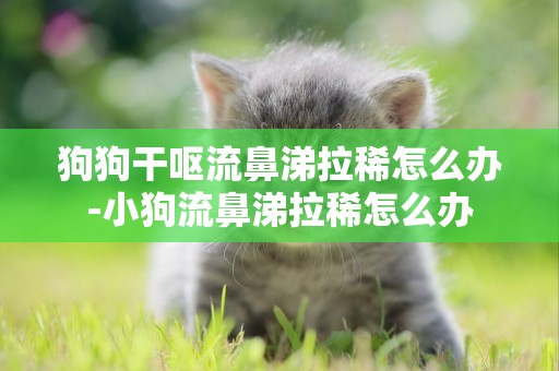 狗狗干嘔流鼻涕拉稀怎么辦-小狗流鼻涕拉稀怎么辦