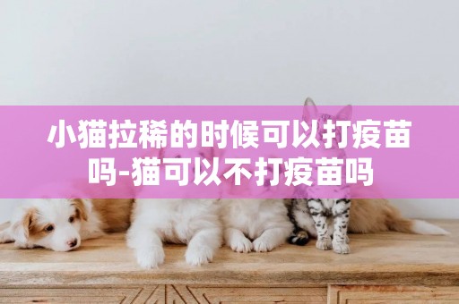 小貓拉稀的時候可以打疫苗嗎-貓可以不打疫苗嗎