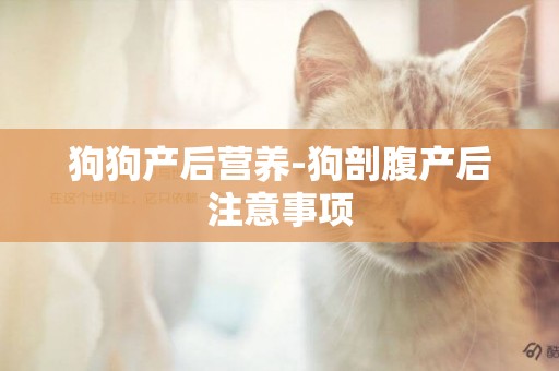 狗狗產后營養-狗剖腹產后注意事項