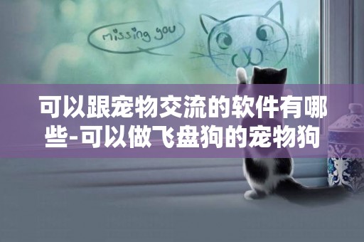 可以跟寵物交流的軟件有哪些-可以做飛盤狗的寵物狗都有哪些