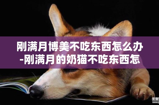 剛滿月博美不吃東西怎么辦-剛滿月的奶貓不吃東西怎么辦