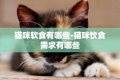 貓咪軟食有哪些-貓咪飲食需求有哪些