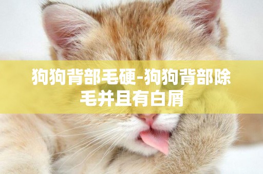 狗狗背部毛硬-狗狗背部除毛并且有白屑