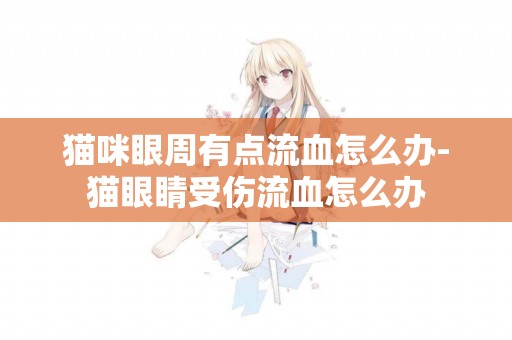 貓咪眼周有點流血怎么辦-貓眼睛受傷流血怎么辦