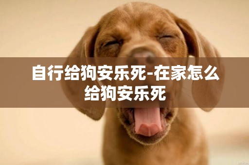 自行給狗安樂死-在家怎么給狗安樂死