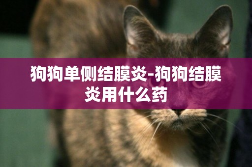狗狗單側結膜炎-狗狗結膜炎用什么藥