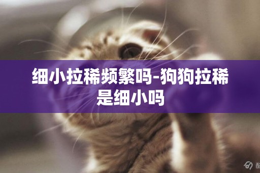 細小拉稀頻繁嗎-狗狗拉稀是細小嗎