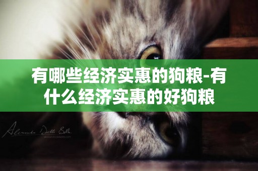 有哪些經濟實惠的狗糧-有什么經濟實惠的好狗糧