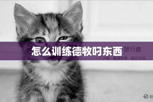 怎么訓練德牧叼東西
