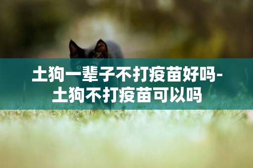 土狗一輩子不打疫苗好嗎-土狗不打疫苗可以嗎