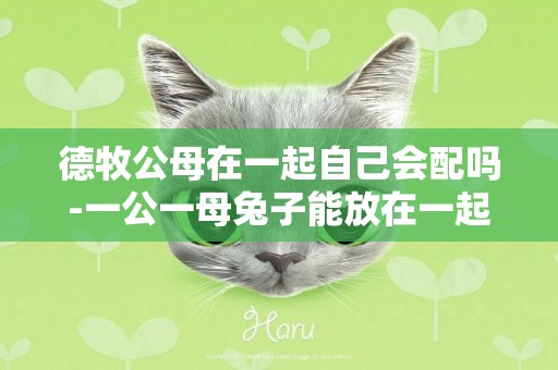 德牧公母在一起自己會配嗎-一公一母兔子能放在一起養嗎