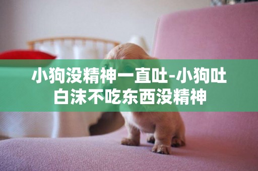 小狗沒精神一直吐-小狗吐白沫不吃東西沒精神