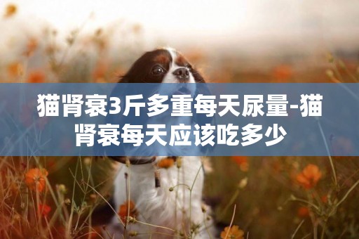 貓腎衰3斤多重每天尿量-貓腎衰每天應該吃多少