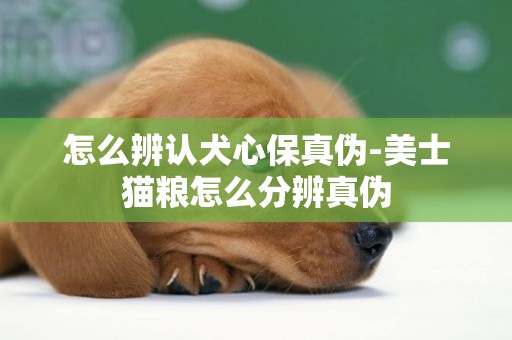 怎么辨認犬心保真偽-美士貓糧怎么分辨真偽