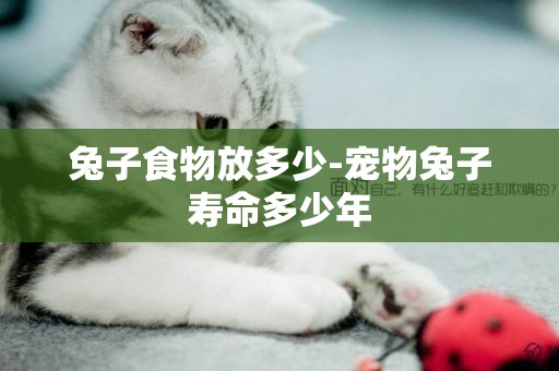 兔子食物放多少-寵物兔子壽命多少年