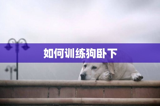 如何訓練狗臥下
