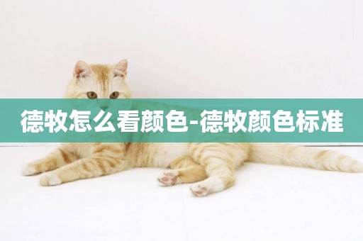 德牧怎么看顏色-德牧顏色標準