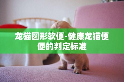 龍貓圓形軟便-健康龍貓便便的判定標準