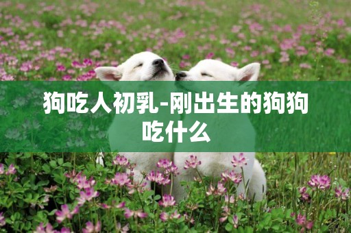 狗吃人初乳-剛出生的狗狗吃什么