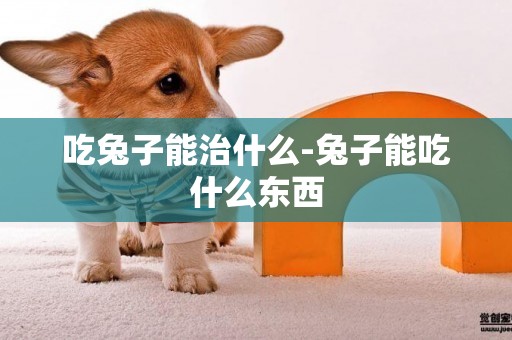 吃兔子能治什么-兔子能吃什么東西
