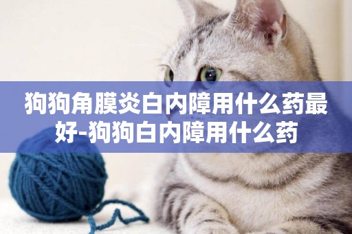 狗狗角膜炎白內障用什么藥最好-狗狗白內障用什么藥