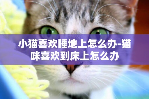 小貓喜歡睡地上怎么辦-貓咪喜歡到床上怎么辦