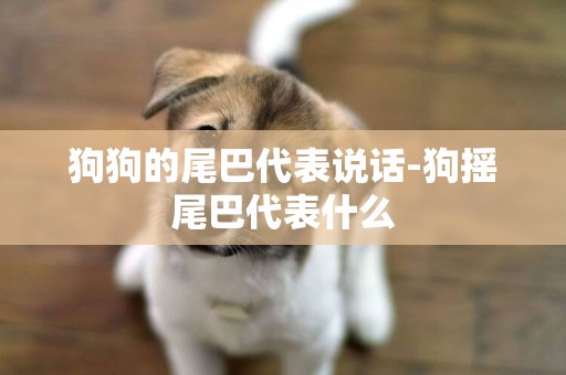 狗狗的尾巴代表說話-狗搖尾巴代表什么