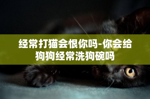 經常打貓會恨你嗎-你會給狗狗經常洗狗碗嗎