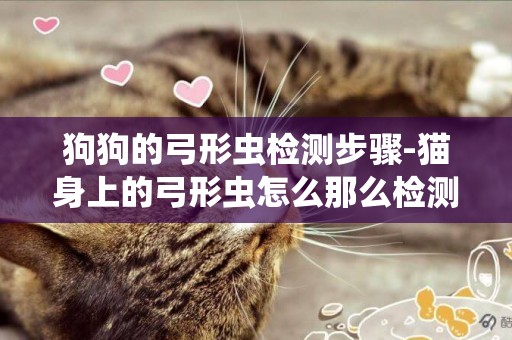 狗狗的弓形蟲檢測步驟-貓身上的弓形蟲怎么那么檢測