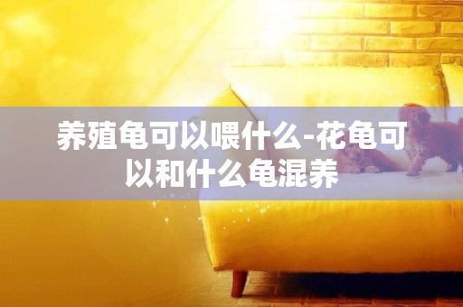 養殖龜可以喂什么-花龜可以和什么龜混養