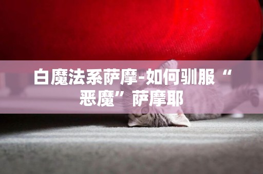 白魔法系薩摩-如何馴服“惡魔”薩摩耶