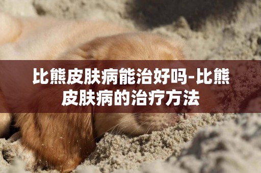 比熊皮膚病能治好嗎-比熊皮膚病的治療方法