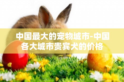 中國最大的寵物城市-中國各大城市貴賓犬的價格