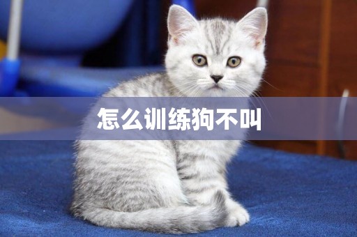 怎么訓練狗不叫