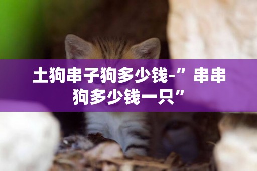 土狗串子狗多少錢-”串串狗多少錢一只”