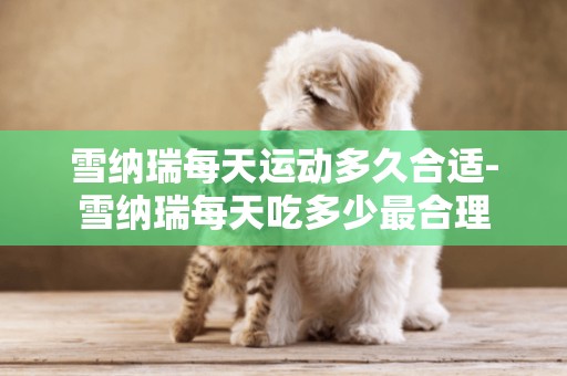 雪納瑞每天運動多久合適-雪納瑞每天吃多少最合理