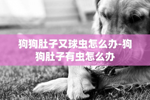 狗狗肚子又球蟲怎么辦-狗狗肚子有蟲怎么辦