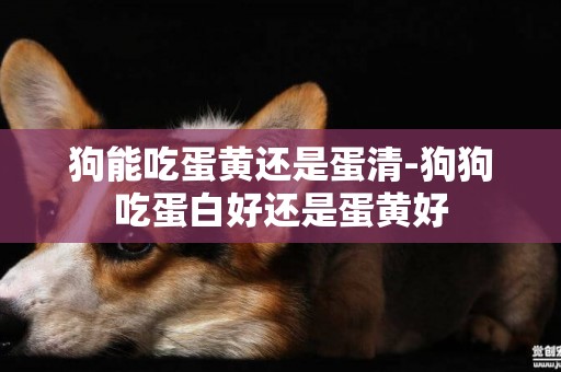 狗能吃蛋黃還是蛋清-狗狗吃蛋白好還是蛋黃好