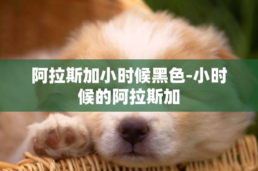 阿拉斯加小時候黑色-小時候的阿拉斯加