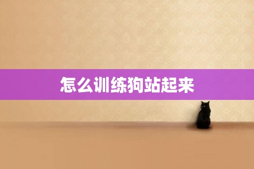 怎么訓練狗站起來