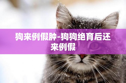 狗來例假腫-狗狗絕育后還來例假