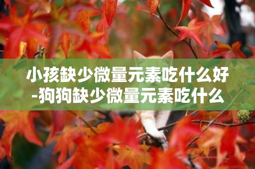小孩缺少微量元素吃什么好-狗狗缺少微量元素吃什么好