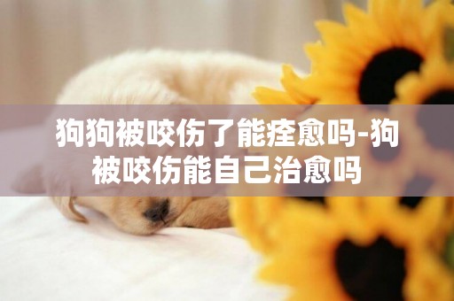 狗狗被咬傷了能痊愈嗎-狗被咬傷能自己治愈嗎