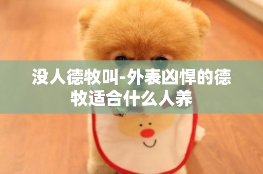 沒人德牧叫-外表兇悍的德牧適合什么人養